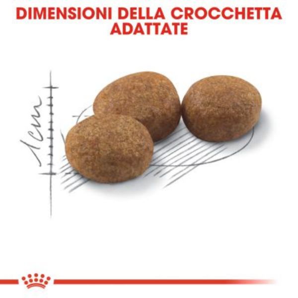Bauzaar Royal Canin Sterilised 37 Cat Food I Più Venduti