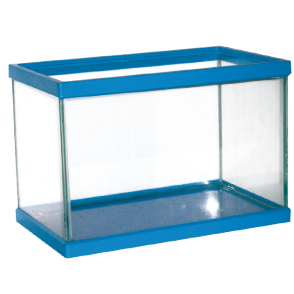 Bauzaar Vaschetta Azzurra Amtra