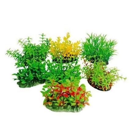 Bauzaar Decorativi Tropical Plan Amtra
