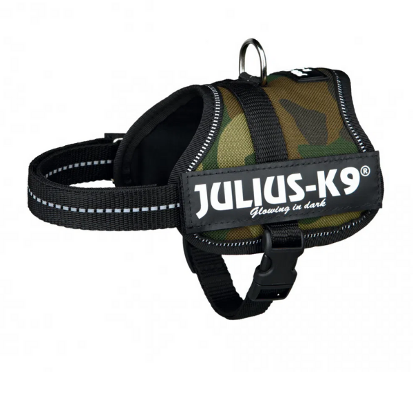 Bauzaar Pettorina Power Harness Julius K9