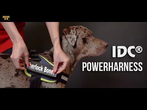 Bauzaar Pettorina Power Harness Julius K9 In Saldo
