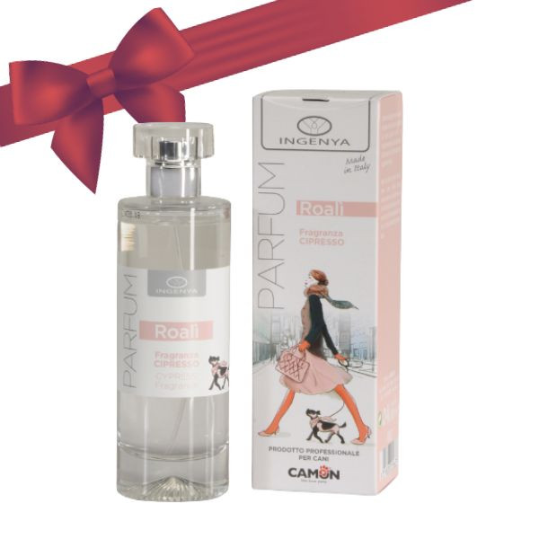 Bauzaar Ingenya Profumo 100 ml