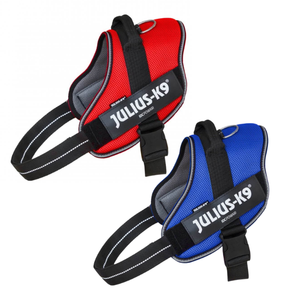 Bauzaar Pettorina IDC Powair harness Julius-K9