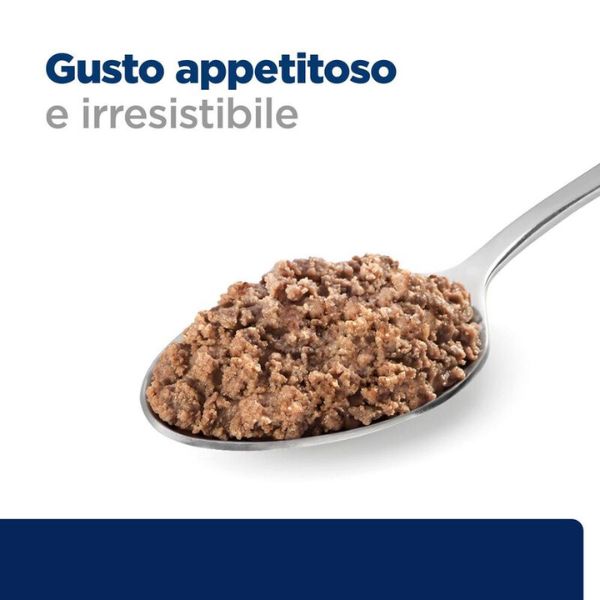 Bauzaar confezione da 6 Promozione Limitata