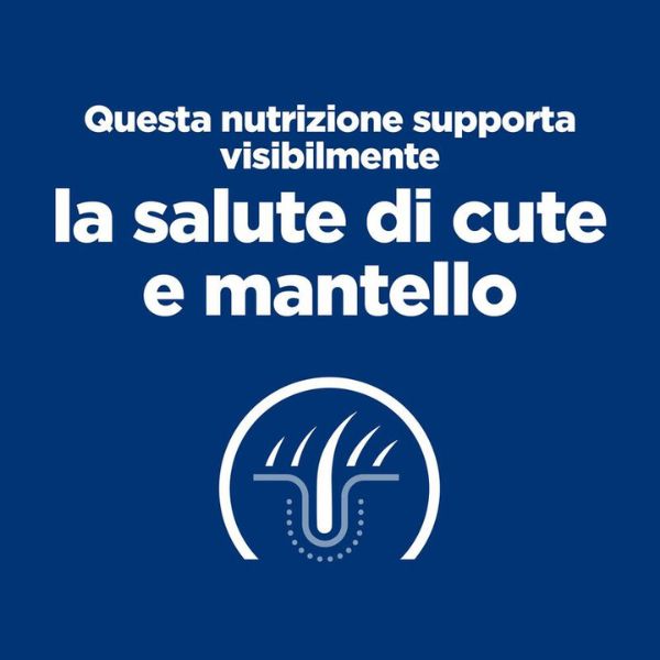 Bauzaar confezione da 6 Promozione Limitata