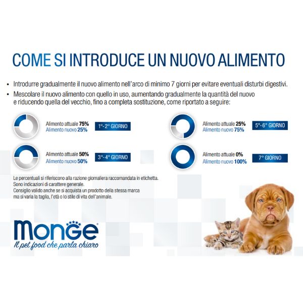 Bauzaar confezione da 6 Shopping Online
