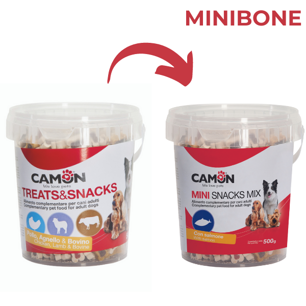 Bauzaar Camon Mini Treats&Snacks Box 500 gr Online