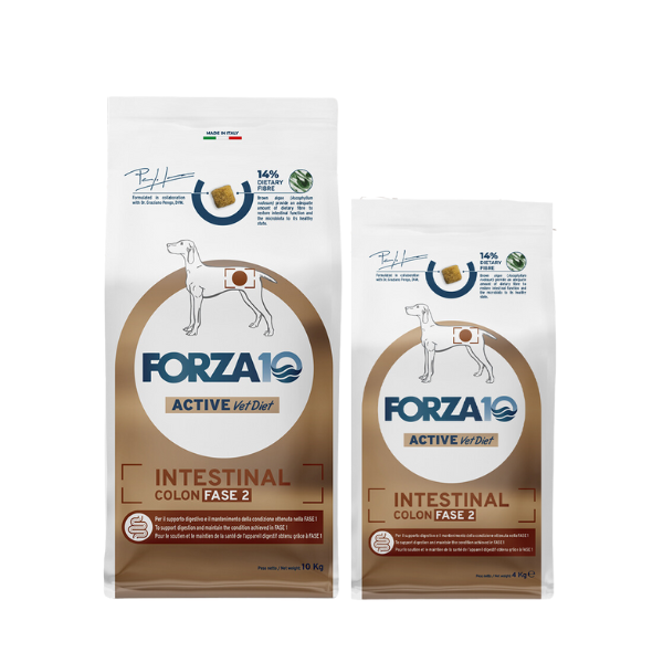 Bauzaar Forza10 Active Cane Intestinal Colon Fase 2