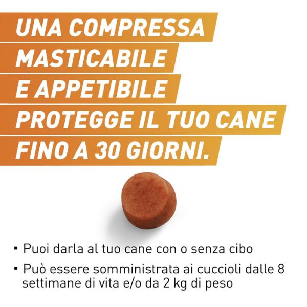 Bauzaar Frontpro compresse antiparassitarie masticabili Frontline Vendite Flash
