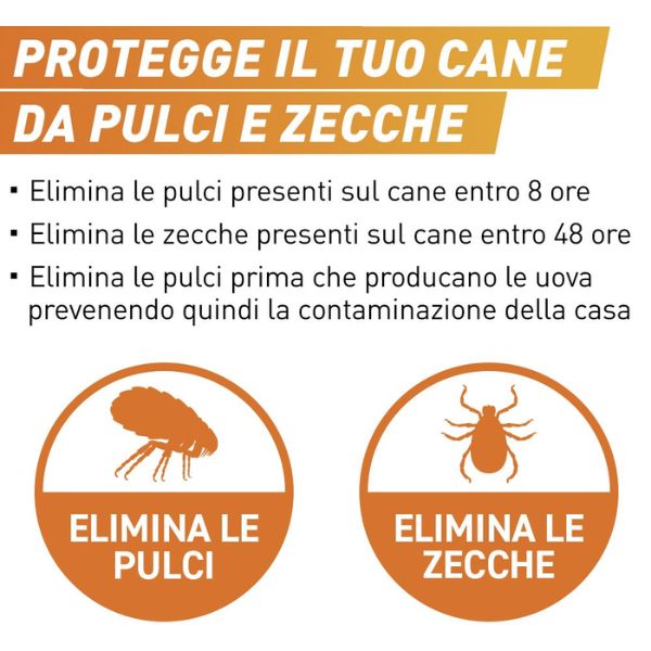 Bauzaar Frontpro compresse antiparassitarie masticabili Frontline Vendite Flash