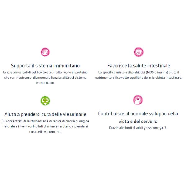 Bauzaar Natural Trainer Kitten con Salmone Promozione