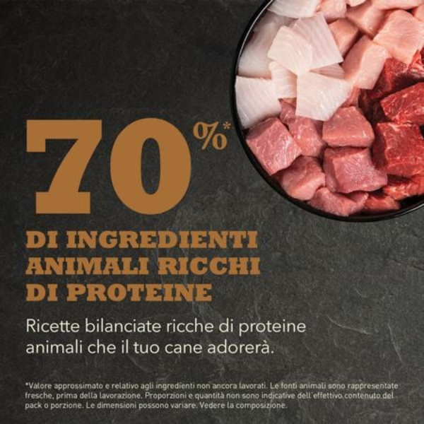 Bauzaar Acana Ranchlands Grain Free Offerte stagionali
