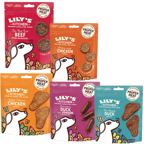 Bauzaar Lily's Kitchen Snack Treats 70 gr