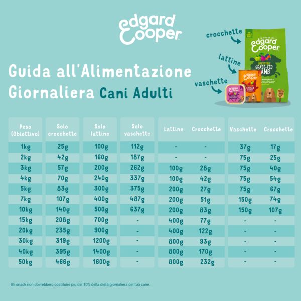 Bauzaar confezione da 11 Prezzo basso