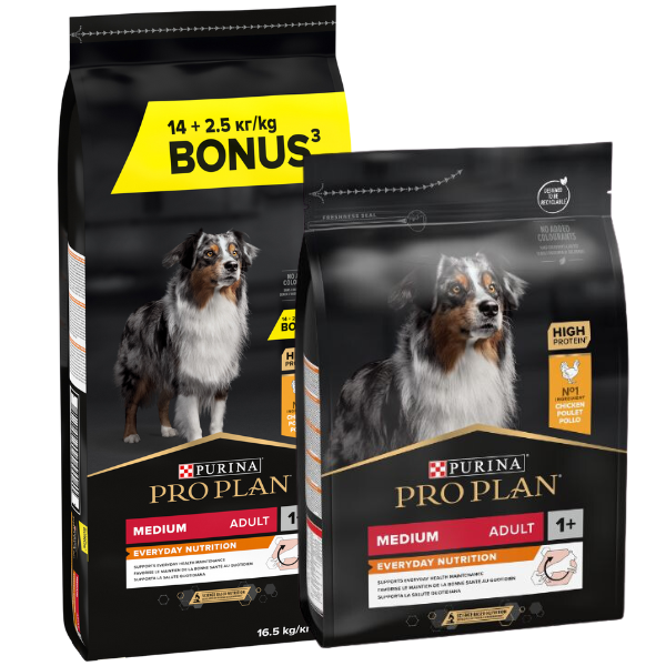 Bauzaar Purina Pro Plan Everyday Nutrition Medium Adult Crocchette Cane Pollo