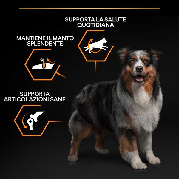 Bauzaar Purina Pro Plan Everyday Nutrition Medium Adult Crocchette Cane Pollo Vendita Calda
