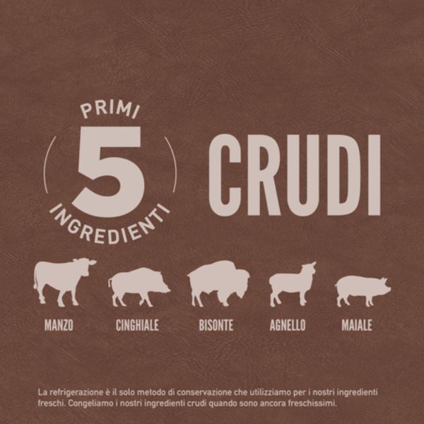 Bauzaar Orijen Regional Red Dog Food Vendita Economica