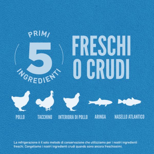 Bauzaar Orijen Original Adult Dog Food I Più Venduti