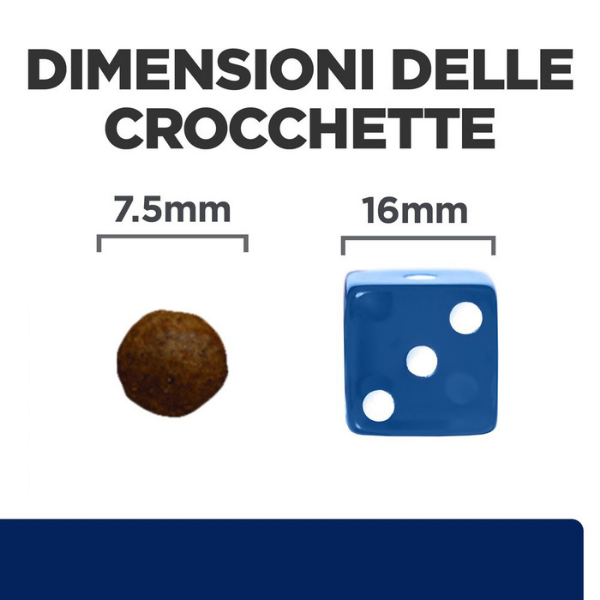 Bauzaar Hill's Prescription Diet z/d mini Canine Sconto di tempo limitato