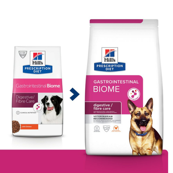 Bauzaar Hill's Prescription Diet Gastrointestinal Biome Offerta speciale