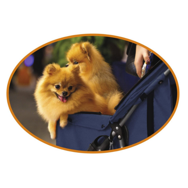 Bauzaar Passeggino per cani Croci Shopping online