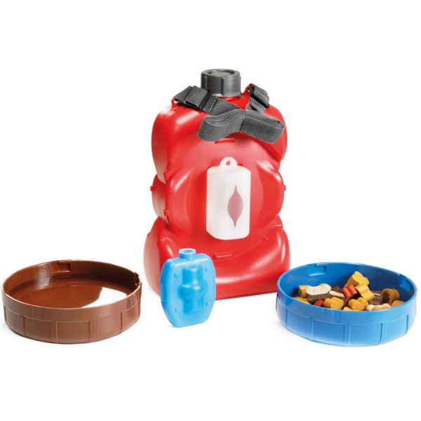 Bauzaar Borraccia accessoriata Aquacrok da viaggio Record Offerta San Valentino