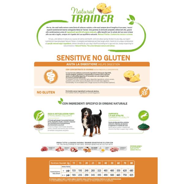 Bauzaar Natural Trainer Sensitive No Gluten Medium & Maxi Adult con Salmone Rilascio limitato