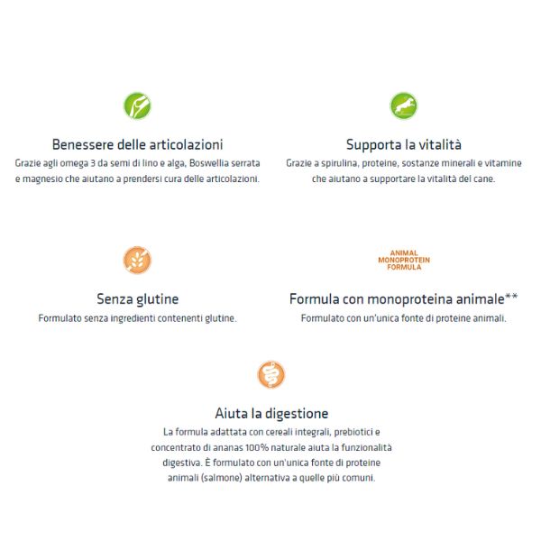 Bauzaar Natural Trainer Sensitive No Gluten Medium & Maxi Adult con Salmone Rilascio limitato