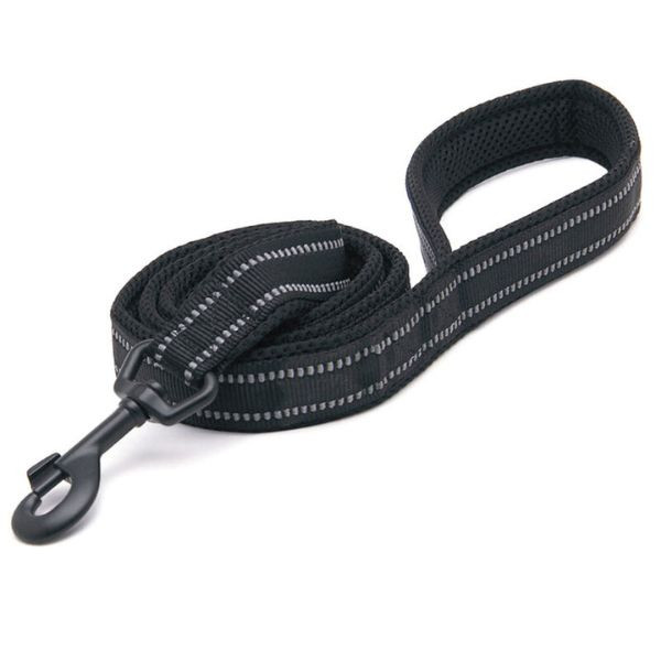 Bauzaar Guinzaglio in nylon Easy Sport PetUp
