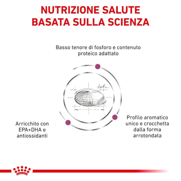 Bauzaar Royal Canin Cat Renal Only for today