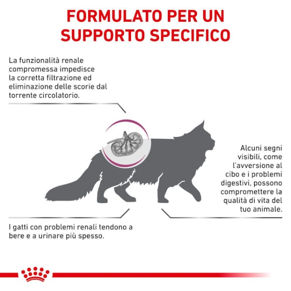 Bauzaar Royal Canin Cat Renal Only for today