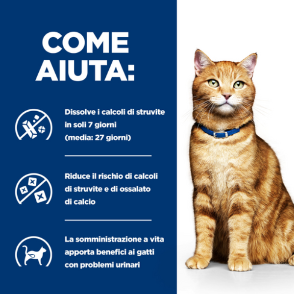 Bauzaar Hill's Prescription Diet c/d Multicare Feline con Pollo Limitato a 3 giorni