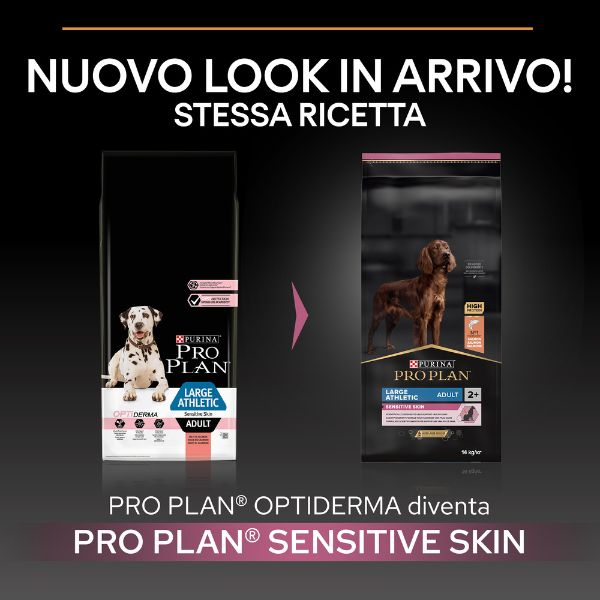 Bauzaar Purina Pro Plan Sensitive Skin Large Athletic Adult Crocchette Cane Salmone Sconti questo mese