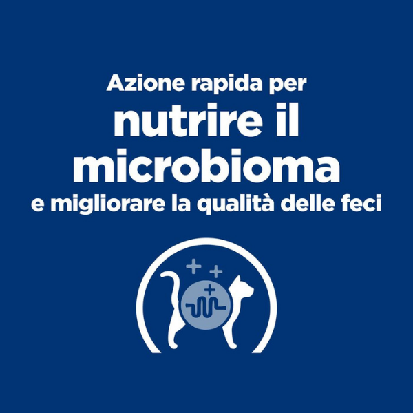 Bauzaar confezione da 6 Vendita