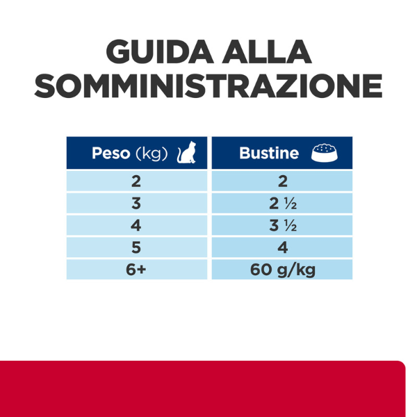 Bauzaar confezione da 12 Promozione