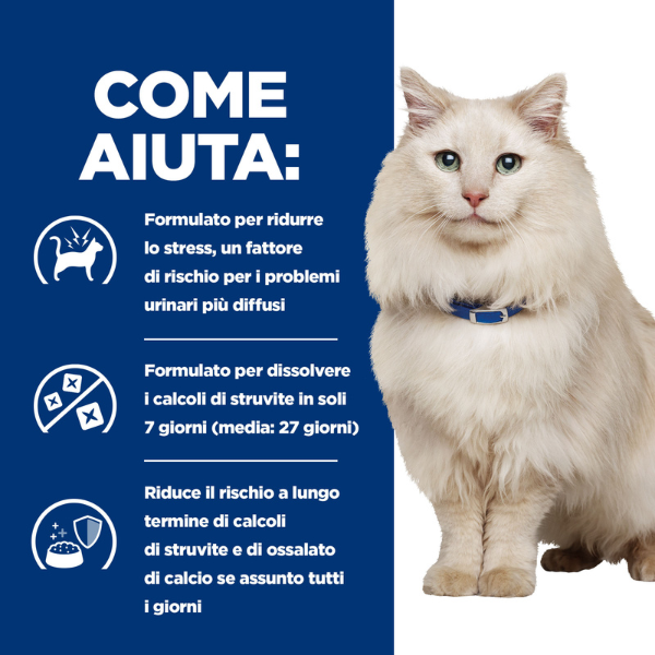 Bauzaar confezione da 12 Promozione