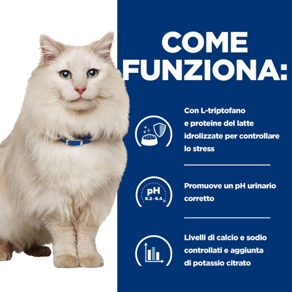 Bauzaar confezione da 12 Promozione