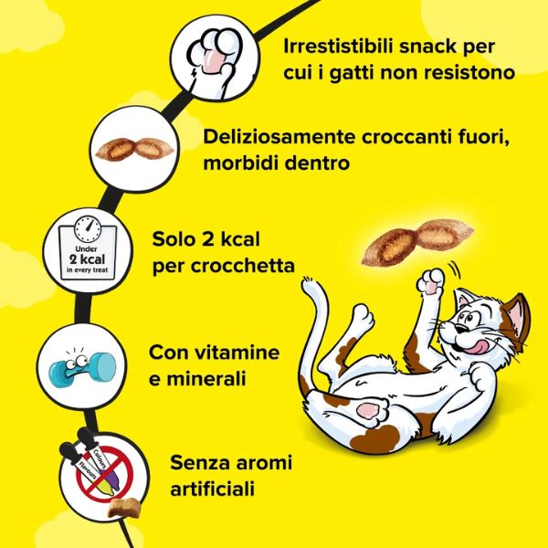 Bauzaar Catisfactions snack per gatti Maxi Pack 180 gr Prezzo di fabbrica
