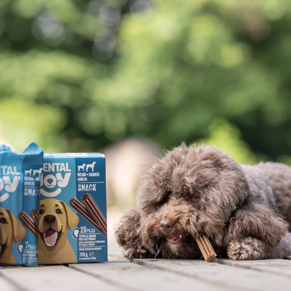 Bauzaar DentalJoy Dog Adult No Grain Medium/Large Snack Dentali Bestseller