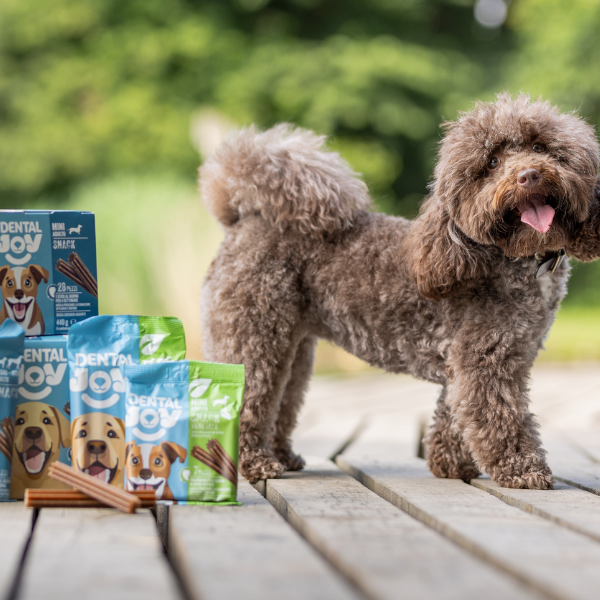 Bauzaar DentalJoy Dog Adult No Grain Medium/Large Snack Dentali Bestseller