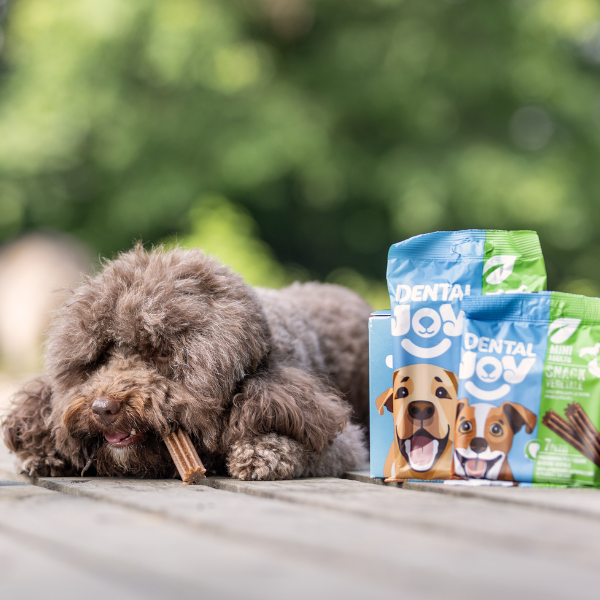 Bauzaar DentalJoy Dog Adult Mini Snack Dentali Vegetale Offerte stagionali