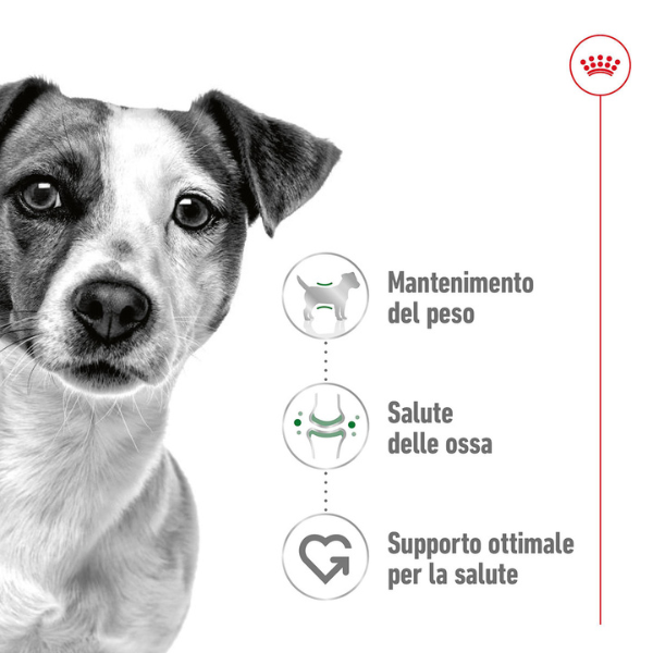 Bauzaar Royal Canin Mini Adult Black Friday Prezzi