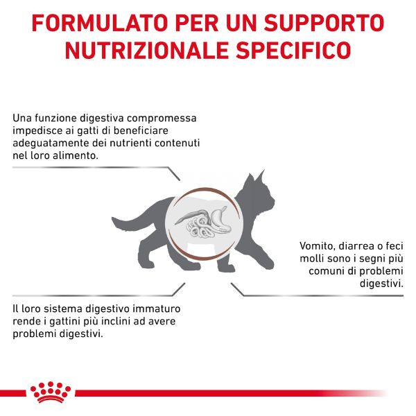 Bauzaar Royal Canin Gastrointestinal Kitten Feline In Linea
