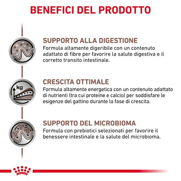Bauzaar Royal Canin Gastrointestinal Kitten Feline In Linea