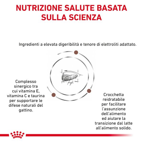 Bauzaar Royal Canin Gastrointestinal Kitten Feline In Linea
