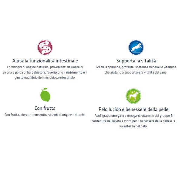 Bauzaar Natural Trainer Adult Medium con Pollo Fresco e riso Vendita