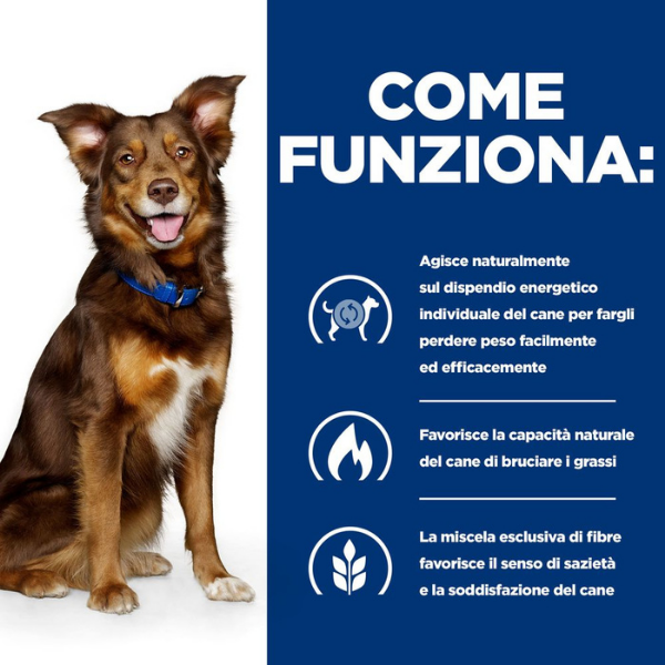 Bauzaar Hill's Prescription Diet Metabolic Canine Pollo Spedizione Gratuita