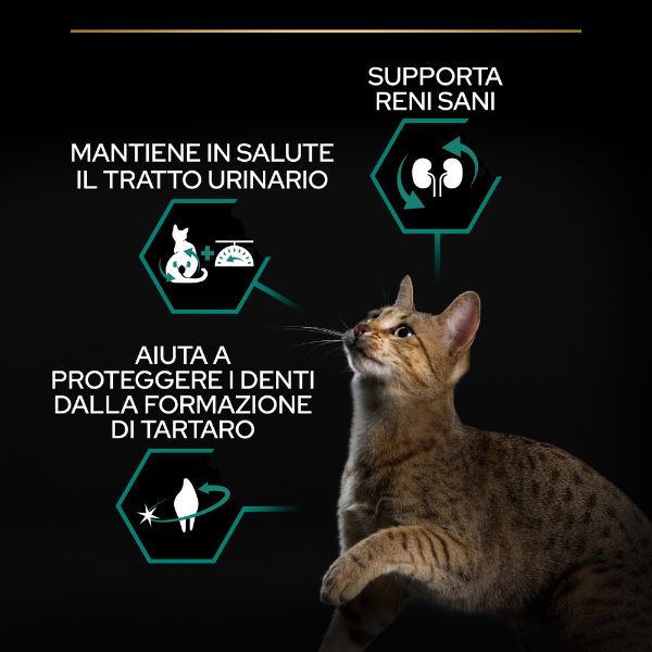 Bauzaar Purina Pro Plan Renal Plus Sterilised Adult 1+ con Salmone Affare Del Giorno