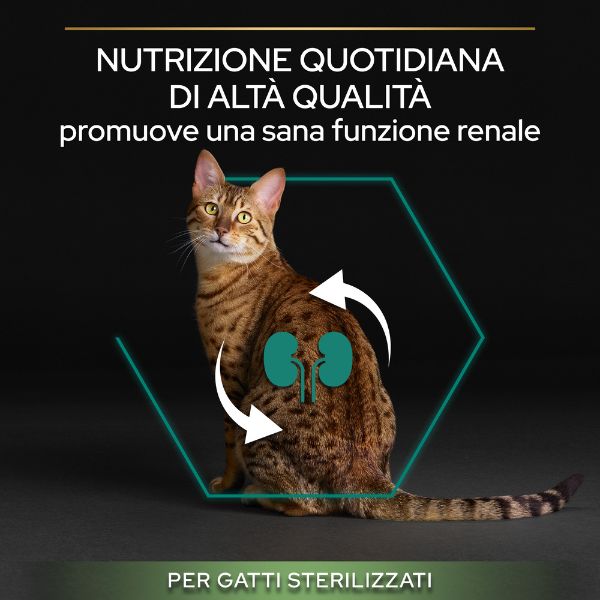 Bauzaar Purina Pro Plan Renal Plus Sterilised Adult 1+ con Salmone Affare Del Giorno