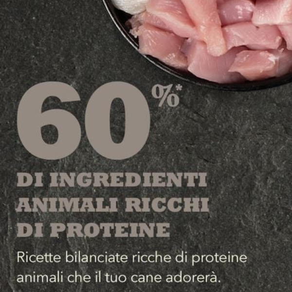 Bauzaar Acana Adult Small breed Recipe Saldi Di Fabbrica